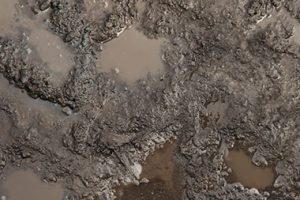 sludge waste