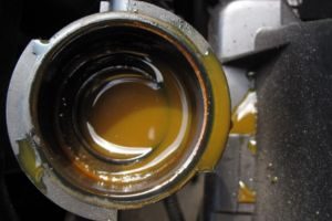 oil in coolant oil in coolant